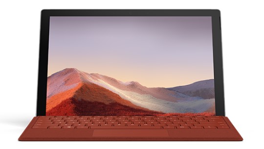 罗田清洁和维护 Surface